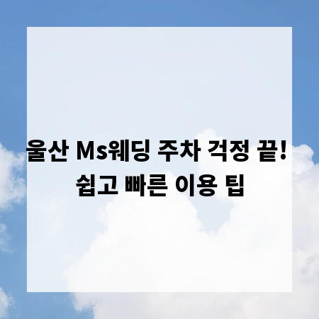 울산 Ms웨딩 주차 걱정 끝! 쉽고 빠른 이용 팁