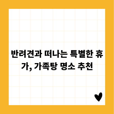 반려견과 떠나는 특별한 휴가, 가족탕 명소 추천