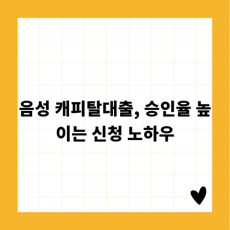 음성 캐피탈대출, 승인율 높이는 신청 노하우