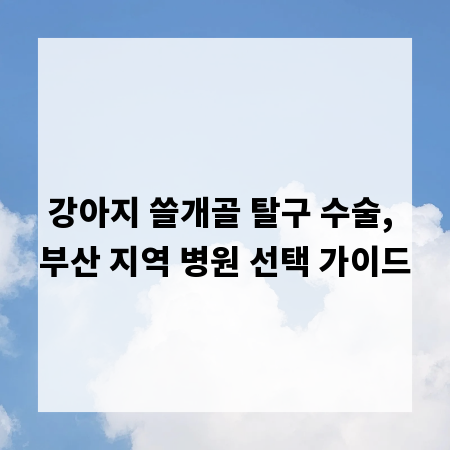 강아지 쓸개골 탈구 수술, 부산 지역 병원 선택 가이드