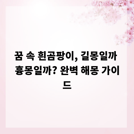 꿈 속 흰곰팡이, 길몽일까 흉몽일까? 완벽 해몽 가이드