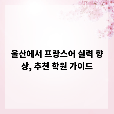 울산에서 프랑스어 실력 향상, 추천 학원 가이드