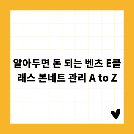 알아두면 돈 되는 벤츠 E클래스 본네트 관리 A to Z
