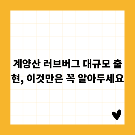 계양산 러브버그 대규모 출현, 이것만은 꼭 알아두세요
