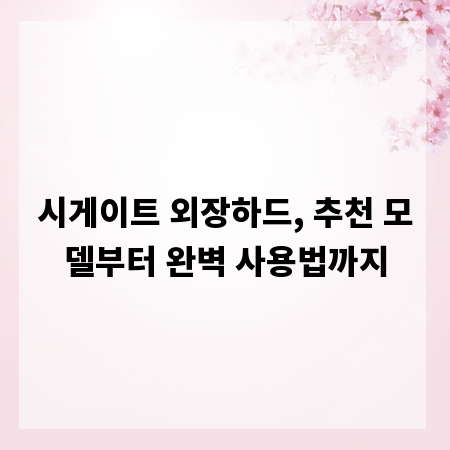 시게이트 외장하드, 추천 모델부터 완벽 사용법까지