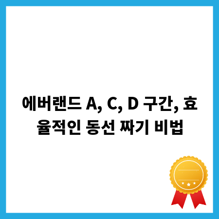 에버랜드 A, C, D 구간, 효율적인 동선 짜기 비법