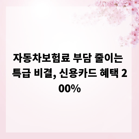 자동차보험료 부담 줄이는 특급 비결, 신용카드 혜택 200%