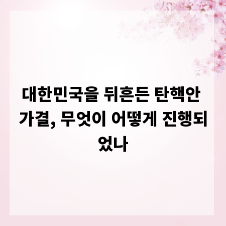 대한민국을 뒤흔든 탄핵안 가결, 무엇이 어떻게 진행되었나