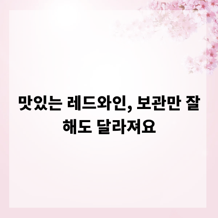 맛있는 레드와인, 보관만 잘해도 달라져요