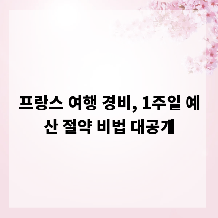 프랑스 여행 경비, 1주일 예산 절약 비법 대공개