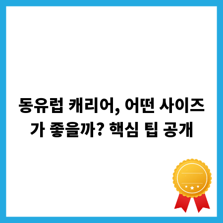 동유럽 캐리어, 어떤 사이즈가 좋을까? 핵심 팁 공개