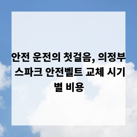 안전 운전의 첫걸음, 의정부 스파크 안전벨트 교체 시기별 비용