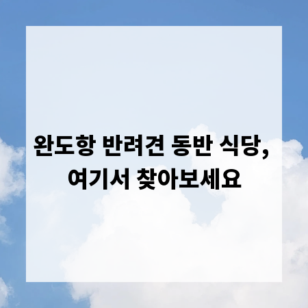 완도항 반려견 동반 식당, 여기서 찾아보세요