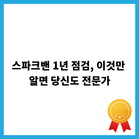 스파크밴 1년 점검, 이것만 알면 당신도 전문가