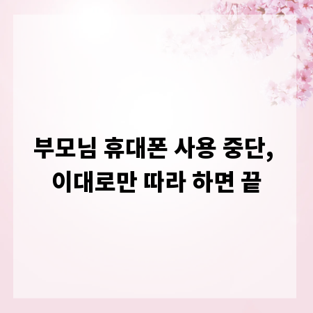 부모님 휴대폰 사용 중단, 이대로만 따라 하면 끝