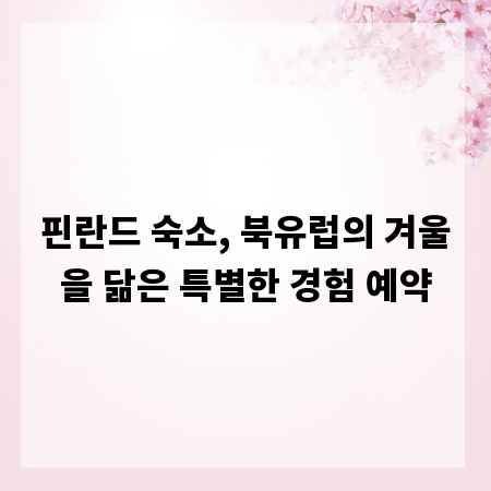 핀란드 숙소, 북유럽의 겨울을 닮은 특별한 경험 예약