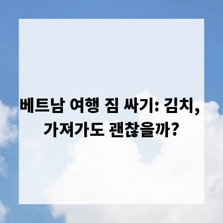 베트남 여행 짐 싸기: 김치, 가져가도 괜찮을까?