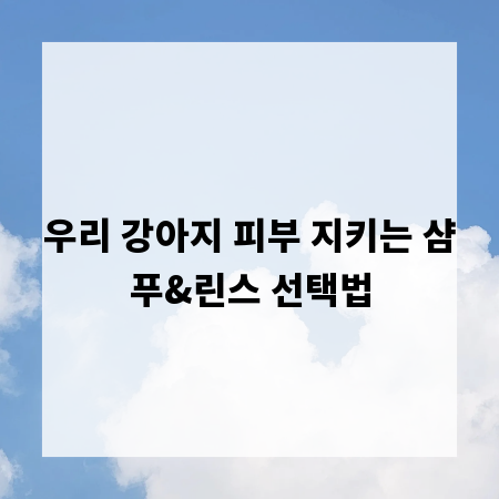 우리 강아지 피부 지키는 샴푸&린스 선택법
