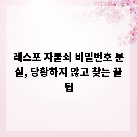 레스포 자물쇠 비밀번호 분실, 당황하지 않고 찾는 꿀팁
