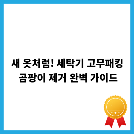 새 옷처럼! 세탁기 고무패킹 곰팡이 제거 완벽 가이드