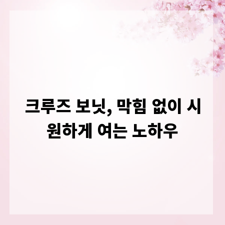 크루즈 보닛, 막힘 없이 시원하게 여는 노하우