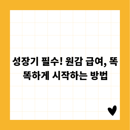 성장기 필수! 원감 급여, 똑똑하게 시작하는 방법