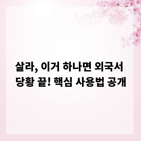 살라, 이거 하나면 외국서 당황 끝! 핵심 사용법 공개