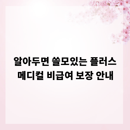 알아두면 쓸모있는 플러스메디컬 비급여 보장 안내