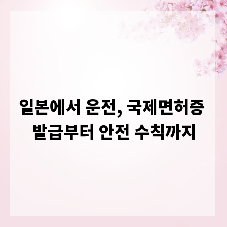 일본에서 운전, 국제면허증 발급부터 안전 수칙까지