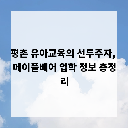 평촌 유아교육의 선두주자, 메이플베어 입학 정보 총정리