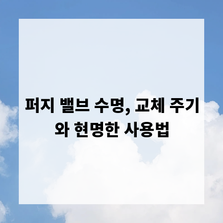 퍼지 밸브 수명, 교체 주기와 현명한 사용법