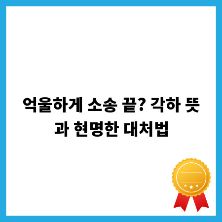 억울하게 소송 끝? 각하 뜻과 현명한 대처법