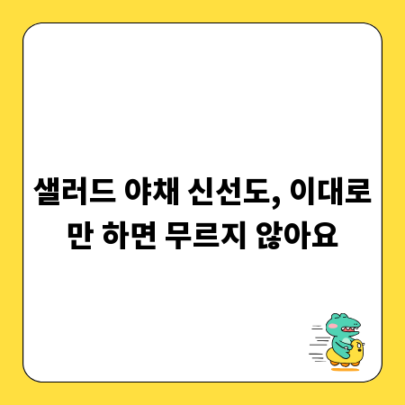 샐러드 야채 신선도, 이대로만 하면 무르지 않아요