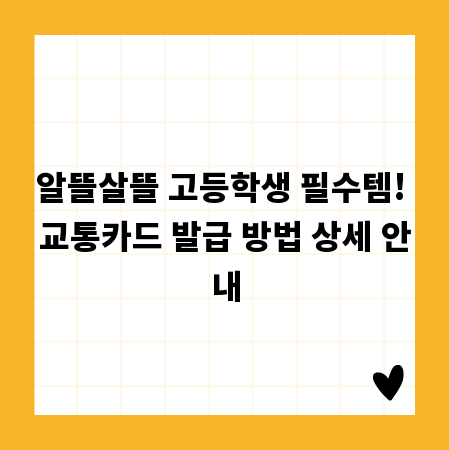 알뜰살뜰 고등학생 필수템! 교통카드 발급 방법 상세 안내
