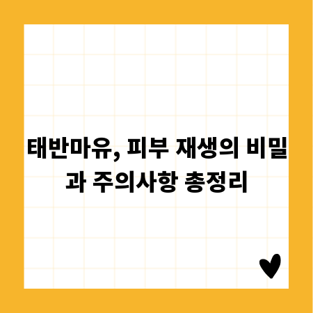 태반마유, 피부 재생의 비밀과 주의사항 총정리