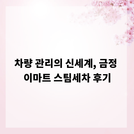 차량 관리의 신세계, 금정 이마트 스팀세차 후기