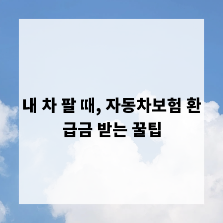 내 차 팔 때, 자동차보험 환급금 받는 꿀팁