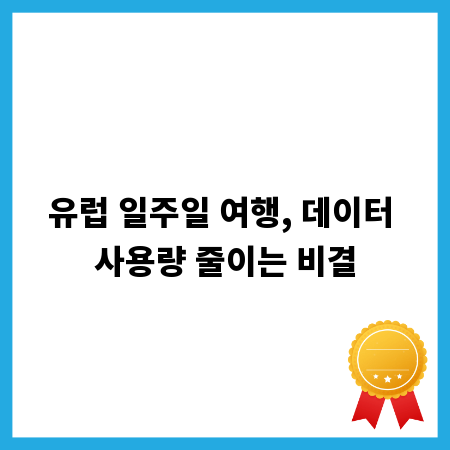 유럽 일주일 여행, 데이터 사용량 줄이는 비결