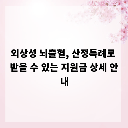 외상성 뇌출혈, 산정특례로 받을 수 있는 지원금 상세 안내