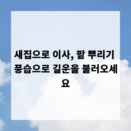새집으로 이사, 팥 뿌리기 풍습으로 길운을 불러오세요