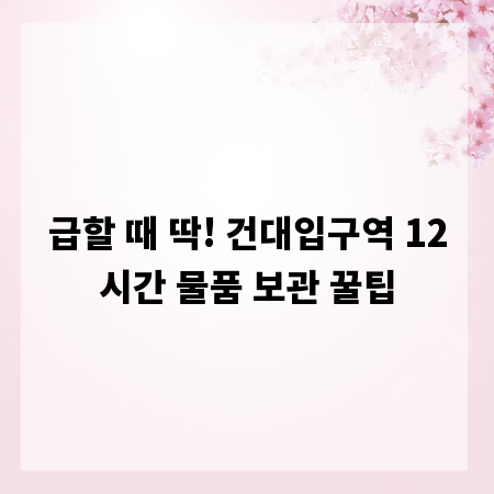 급할 때 딱! 건대입구역 12시간 물품 보관 꿀팁