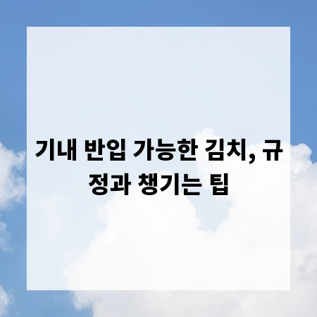 기내 반입 가능한 김치, 규정과 챙기는 팁