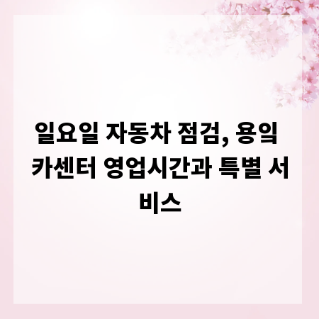 일요일 자동차 점검, 용잌 카센터 영업시간과 특별 서비스