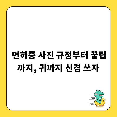 면허증 사진 규정부터 꿀팁까지, 귀까지 신경 쓰자