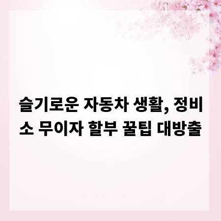 슬기로운 자동차 생활, 정비소 무이자 할부 꿀팁 대방출