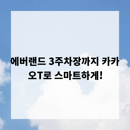 에버랜드 3주차장까지 카카오T로 스마트하게!