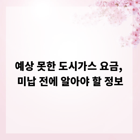 예상 못한 도시가스 요금, 미납 전에 알아야 할 정보