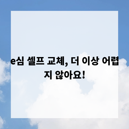 e심 셀프 교체, 더 이상 어렵지 않아요!