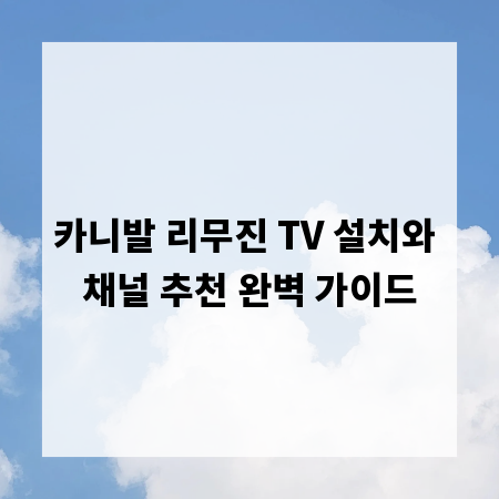 카니발 리무진 TV 설치와 채널 추천 완벽 가이드