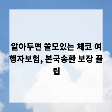 알아두면 쓸모있는 체코 여행자보험, 본국송환 보장 꿀팁